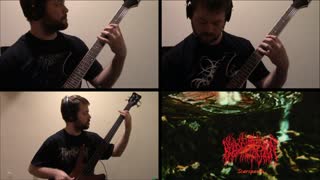 Blood Incantation - StarSpawn(Guitar + Bass Cover)