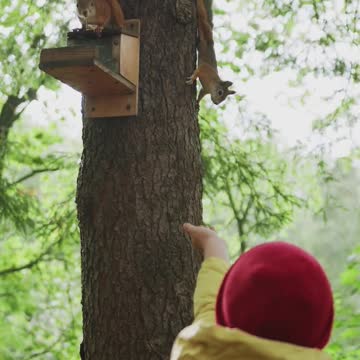 Squirrel enjoys the fresh sheets | funny animal videos!