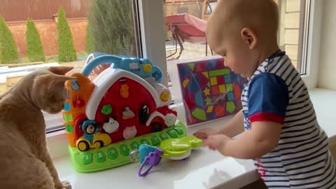 cute baby flaying with toys and cat looking him.