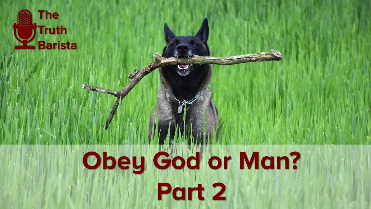 Obey God or Man? Part 2