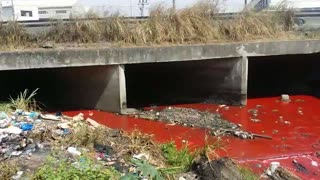 River Runs Red in the Philippines