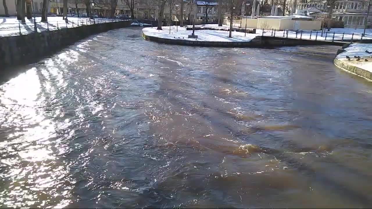 I Slottsparken Invid Svartån. Örebro 11 Febr. 2019
