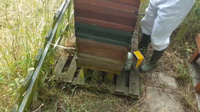 Beekeeping Video