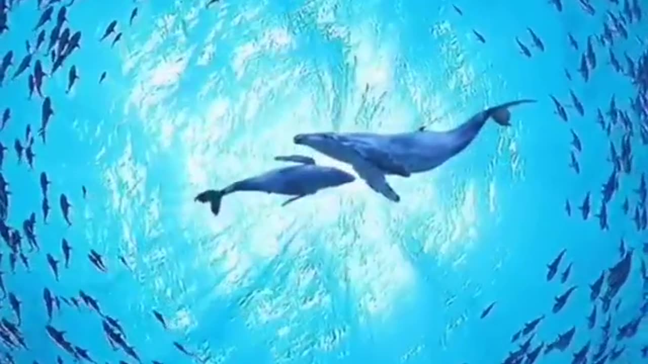 Awesome Planet