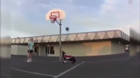 My dog ​​is a basketball player