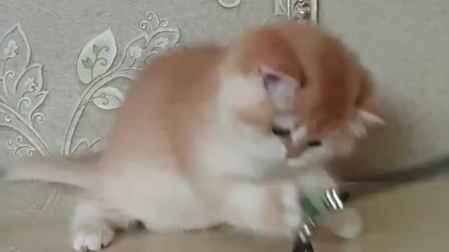 Cuteness overload 😍