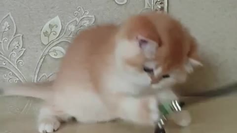 Cuteness overload 😍