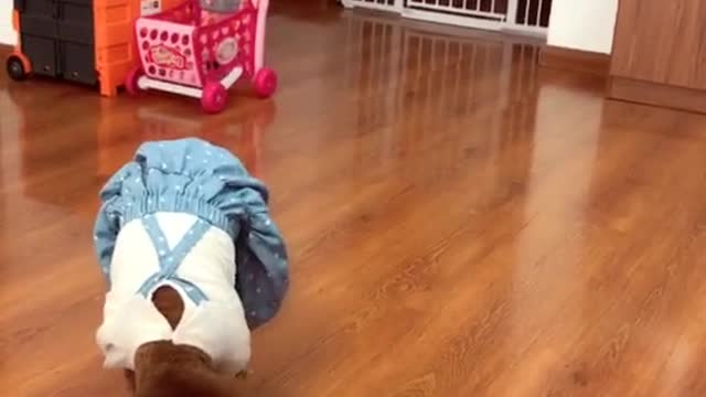 Puppy dog fun