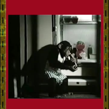 "REMEMBERING ELVIS" - SCATTER PT 1