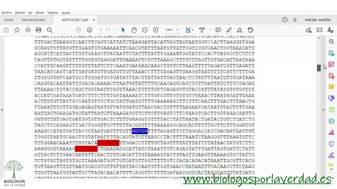 La prueba RT PCR detecta el coronavirus humano NL63.