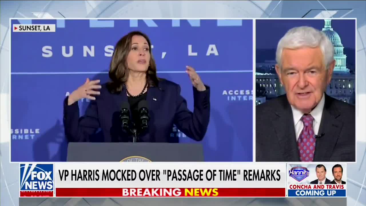 Gingrich Says Kamala Harris “May Be The Dumbest Person Ever Elected Vice President”