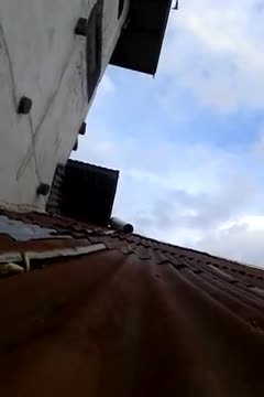 Outside and nature in Hawaii