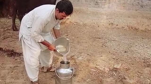 Mixing water in milk funny video