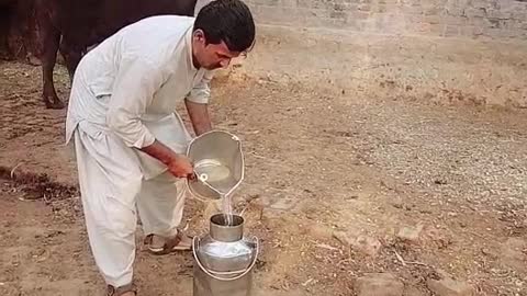Mixing water in milk funny video