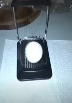 Egg Explodes