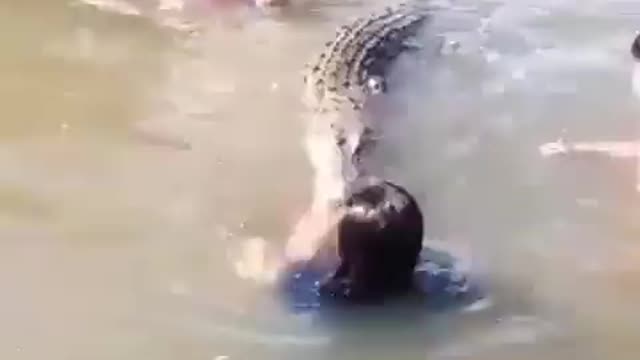 viral Indonesian children are not afraid to play with crocodiles