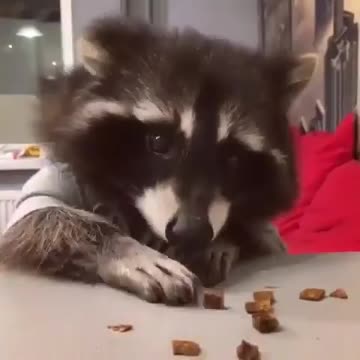 Someone is having a good breakfast yam yam