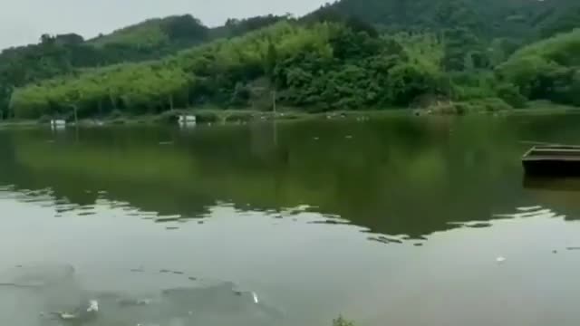 Samurai fishing