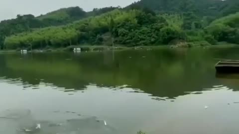 Samurai fishing