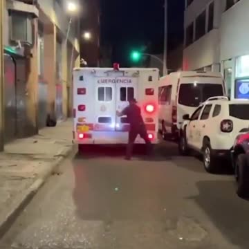 A dog was running after the ambulance that was carrying their owner.