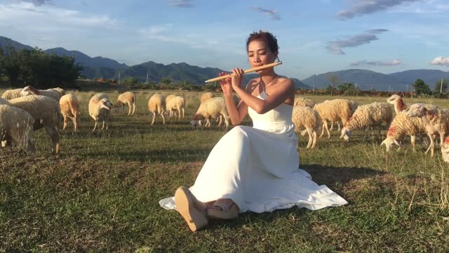 The girl plays the bamboo flute with the lamb