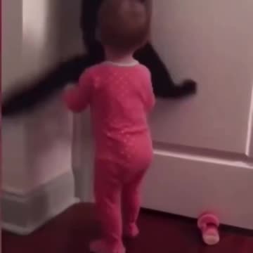 Cat to the rescue 🤣