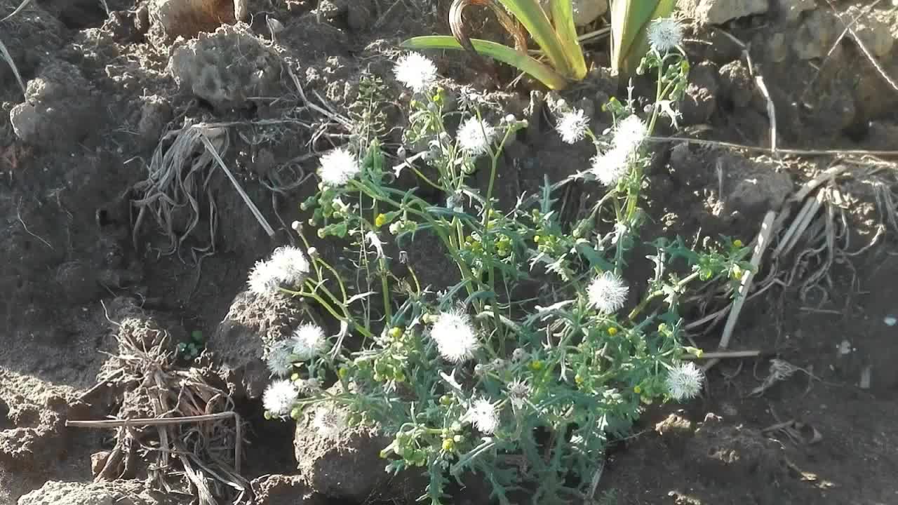 Nur in der Natur zu finden