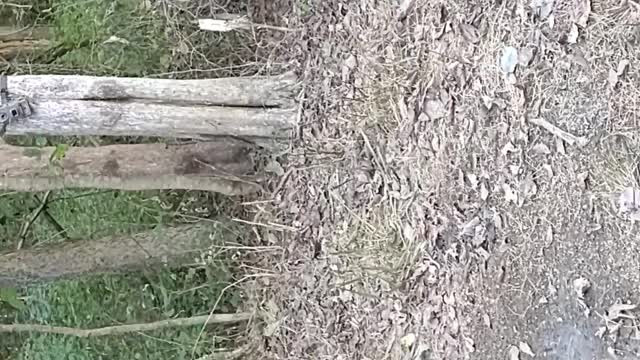 Getting ready for Bow Season!