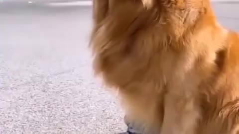 Best Funny Tiktok2021 @ make you laugh