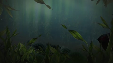 Fish 6