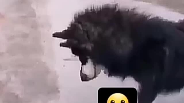 Run