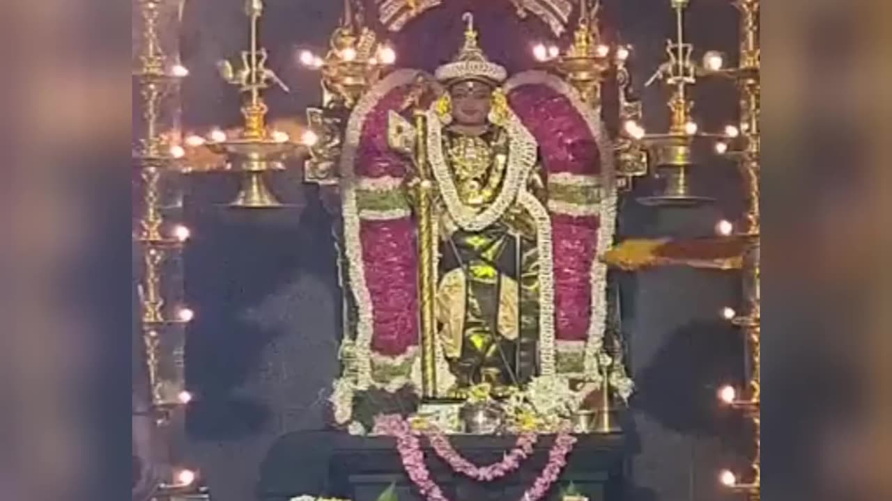 Thai Poosam Abisegam at {Palani Murugan Temple}