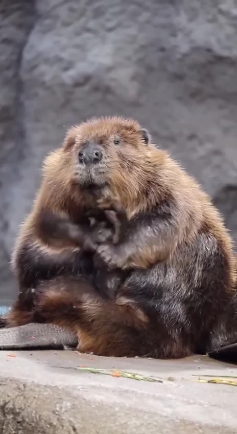 After a long walk at the city park 😊👍