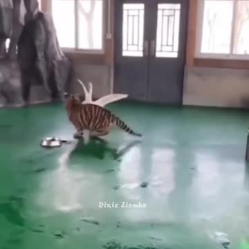 Who knew a goose could take down a tiger cub? 🦁👀