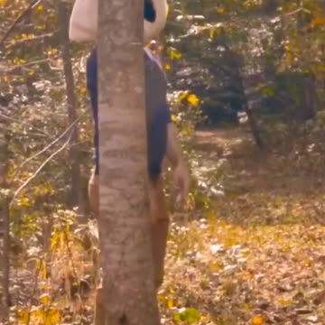 The beauty of Nature...... #animal #nature