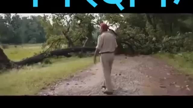 Forest police work