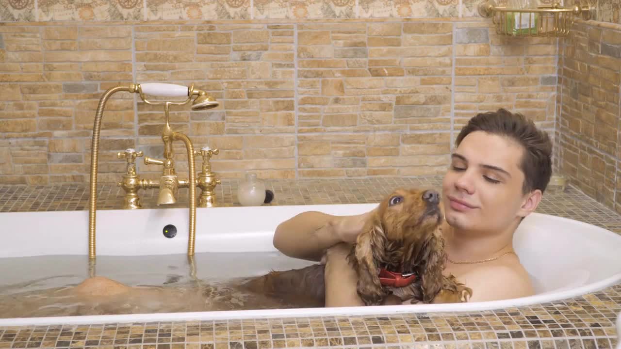 Man washes his dog's head with shampoo