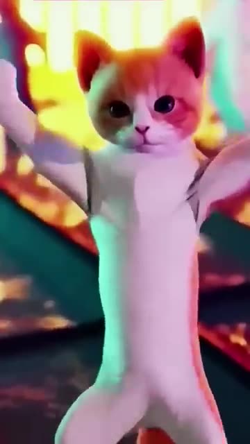 cat dance #shorts