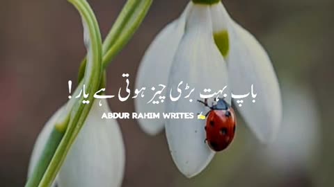 Urdu quotes