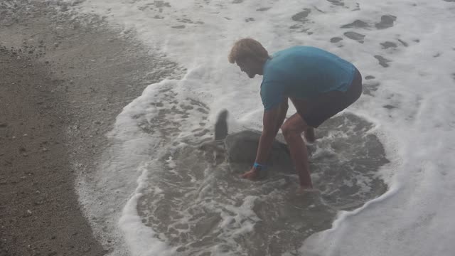 Lending a Beached Sea Turtle a Helping Hand