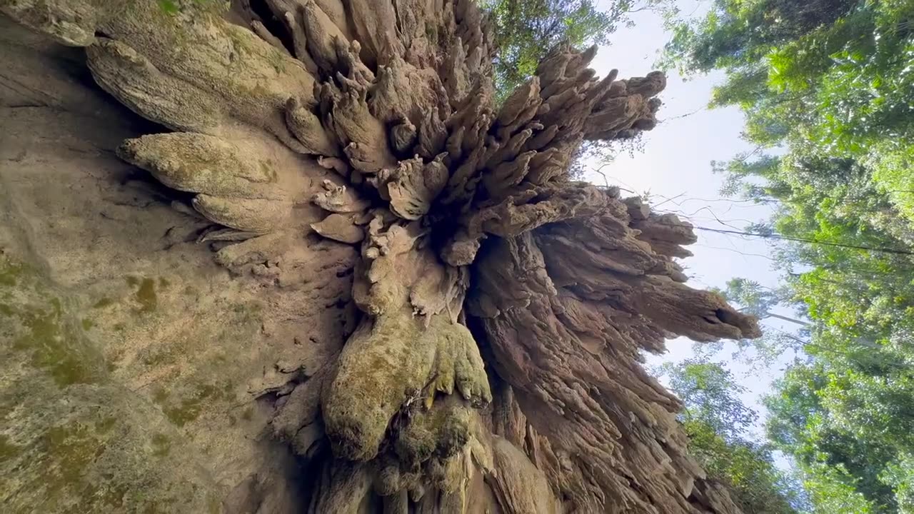 Canyoneering at Kawasan Falls in Moalboal, Philippines (part 1)