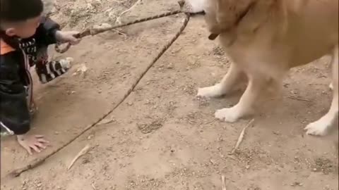 Kid Boy Playing Dog #cute #dog #puppy