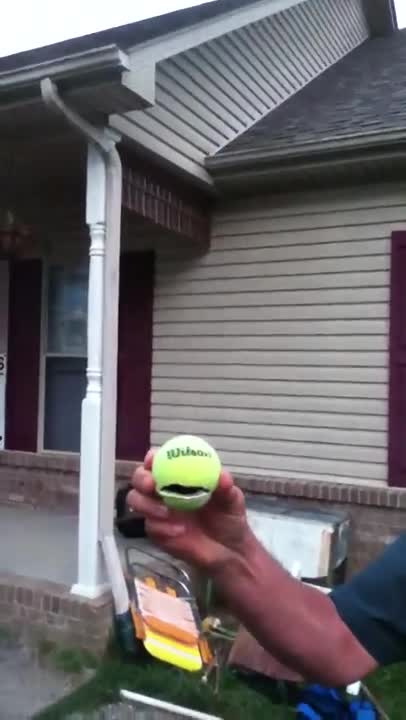Attempted to throw a ball at a wasp nest