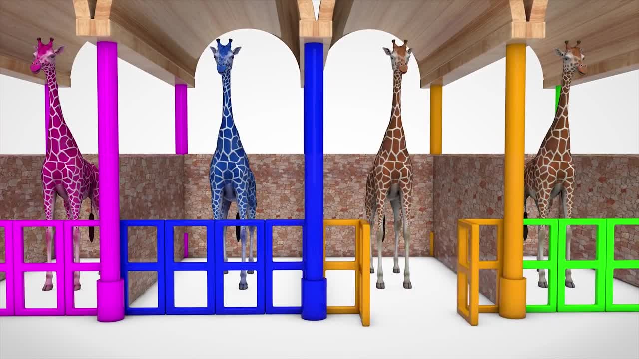 Learn colors and numbers with giraffes in English