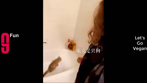 TRY NOT TO LAUGH