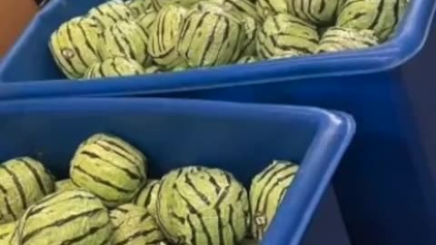 Drugs worth $5m found in FAKE 🍉