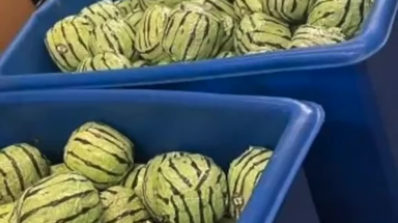 Drugs worth $5m found in FAKE 🍉