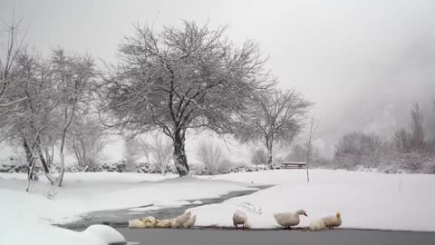 Mutton Fat and Juicy Kebab! Beautiful Snowfall in the Village of Azerbaijan