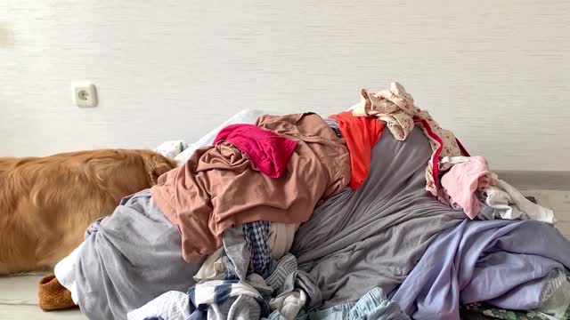 Hiding From My Dog Under A GIANT Pile Of Clothes!