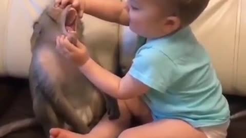 This baby has a monkey as his bestfriend